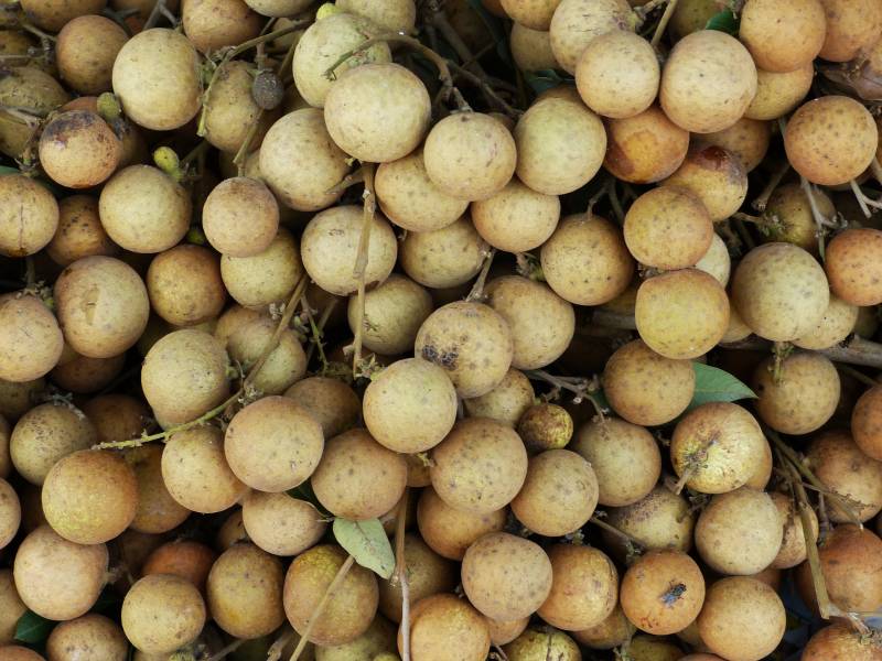 Le Longane, fruit exotique de Chine